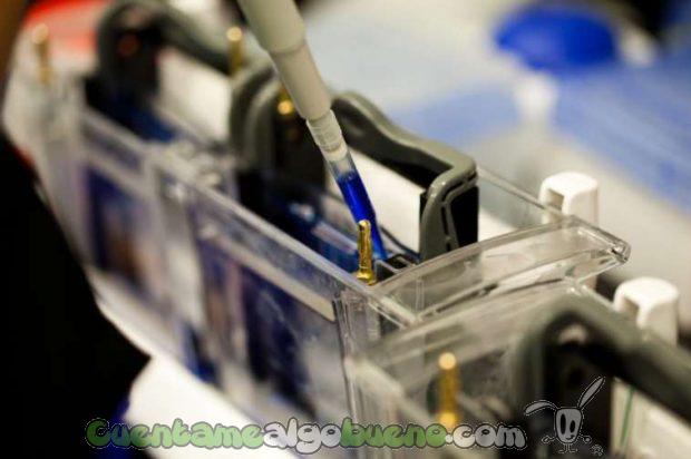 20160825-3-biofabricacion-piel