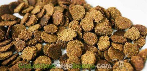 20160826-3-cereales-con-cascaras-de-sandia