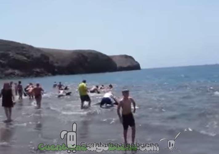 Decenas de bañistas salvan a 20 cetáceos en Lanzarote