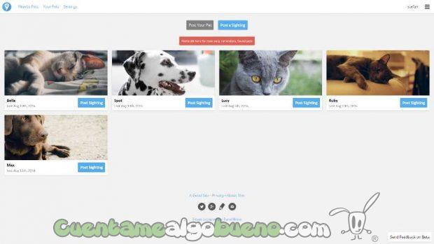 20160830-1-find-a-lost-pet