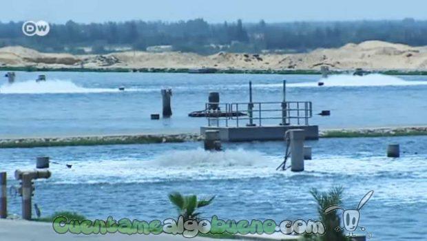 20160908-1-bosque-en-desierto-de-egipto-03