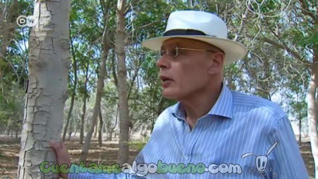 20160908-1-bosque-en-desierto-de-egipto-04