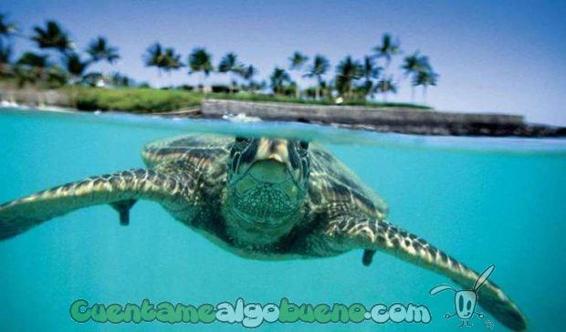 20160913-2-compromisos-hawaii-01