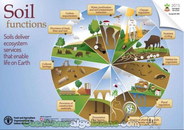 20160917-1-people4soil-02