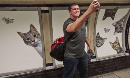Las paredes del metro de Londres se llenan de fotos de gatos por una buena causa