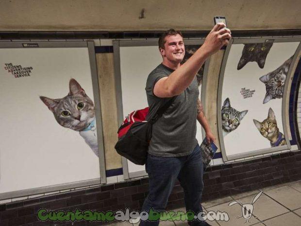 20160919-1-cats-gatos-metro-londres-02