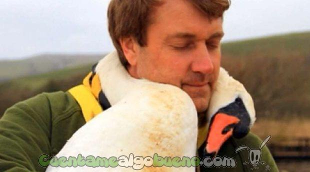 20160920-3-cisne-abraza-richard-wiese-01