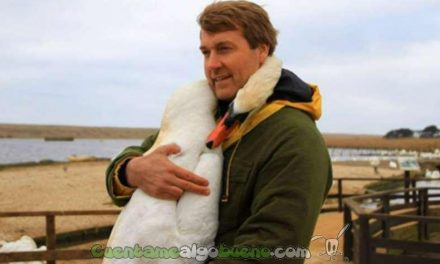 Cisne abraza a su rescatador