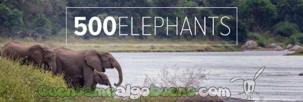 20160929-1-salvando-a-500-elefantes-01
