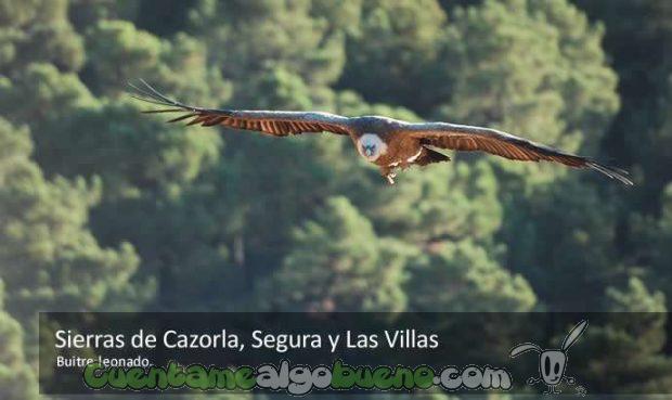 20161003-3-reservas-biosfera-espana-04