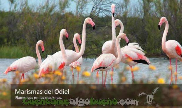 20161003-3-reservas-biosfera-espana-05