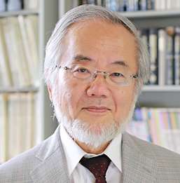 20161004-1-premio-nobel-medicina-2016-04