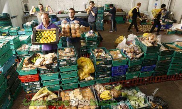 20161009-supermercado-comida-desechada-03