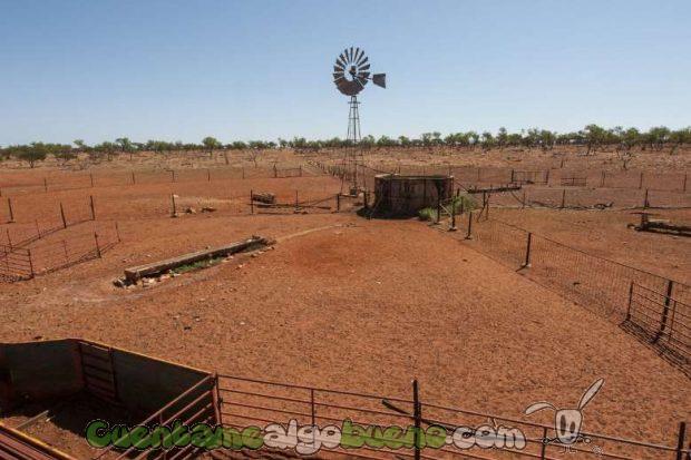 20161012-3-convierten-granja-australia-reserva-natural-04