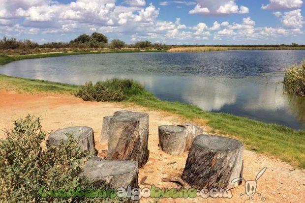 20161012-3-convierten-granja-australia-reserva-natural-07