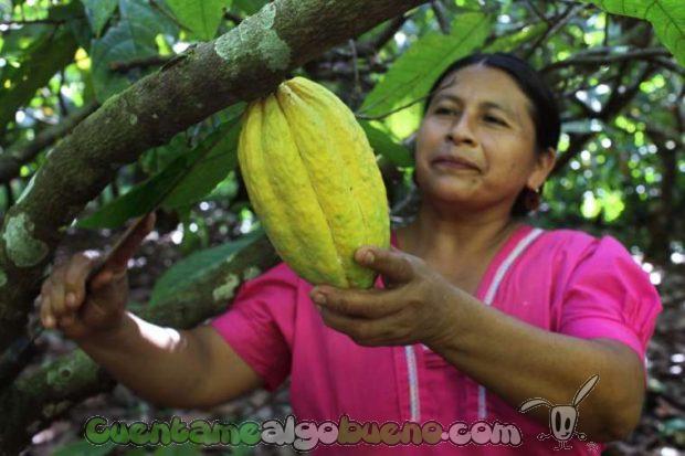 20161013-3-soberania-alimentaria-peqenos-productores-02