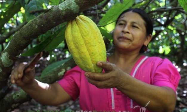 Soberanía Alimentaria: La voz de los pequeños productores