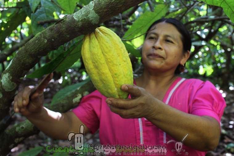 Soberanía Alimentaria: La voz de los pequeños productores