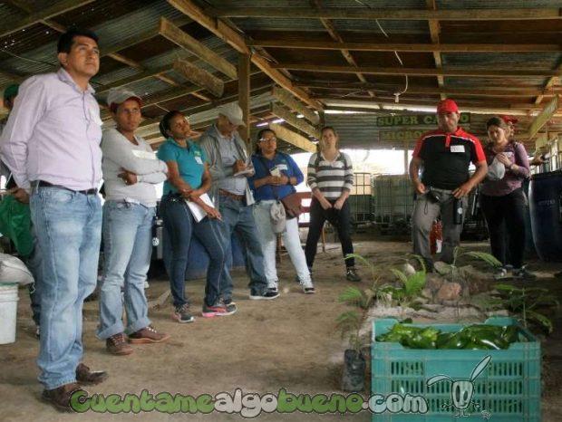 20161016-1-cafe-comercio-justo-honduras-03