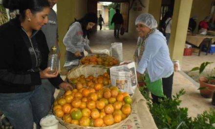 Promoción del consumo local de alimentos orgánicos y de variedades autóctonas en Honduras