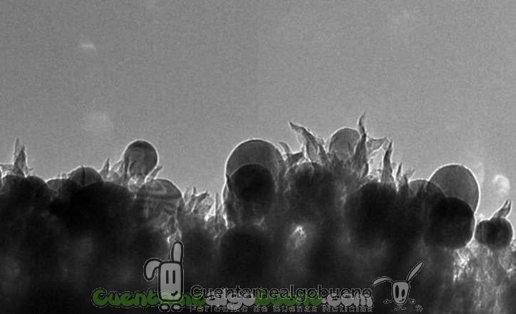 Descubren por casualidad cómo convertir CO2 en etanol.