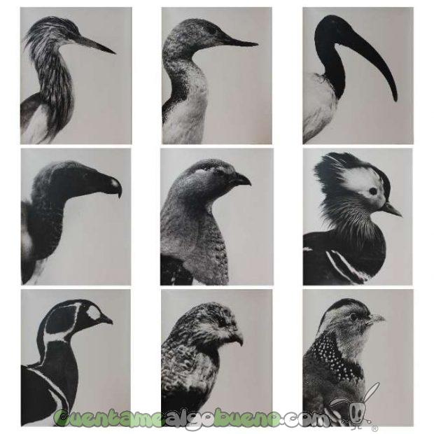 20161101-3-exposicion-arte-internos-penitenciarios-barcelona-02