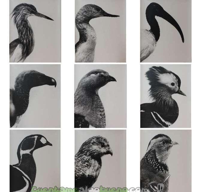 Inauguran la mayor exposición de arte hecha por internos penitenciarios