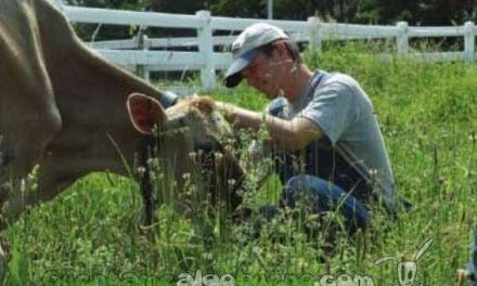 Otro granjero decide dejar de matar animales