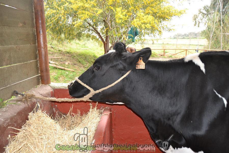 Nueva propuesta de día en familia en la Granja de Pizarra (Málaga)