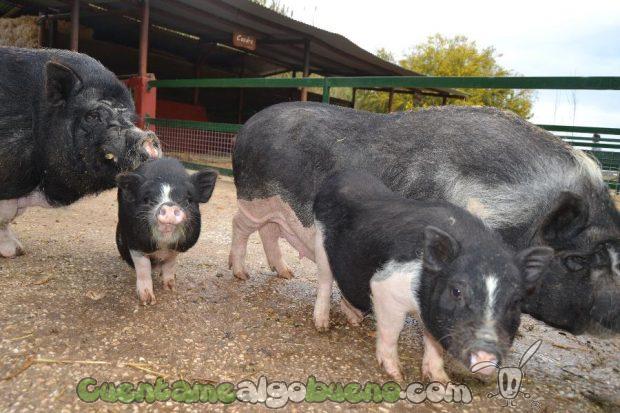 20161107-3-granja-pizarra-jornada-20-nov-03