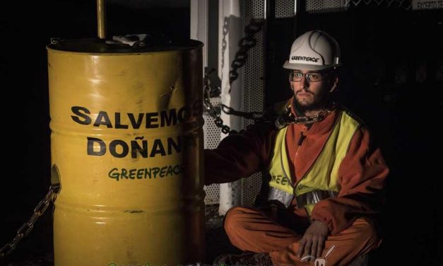¿Por qué Greenpeace ha paralizado las obras de Gas Natural Fenosa en Doñana?