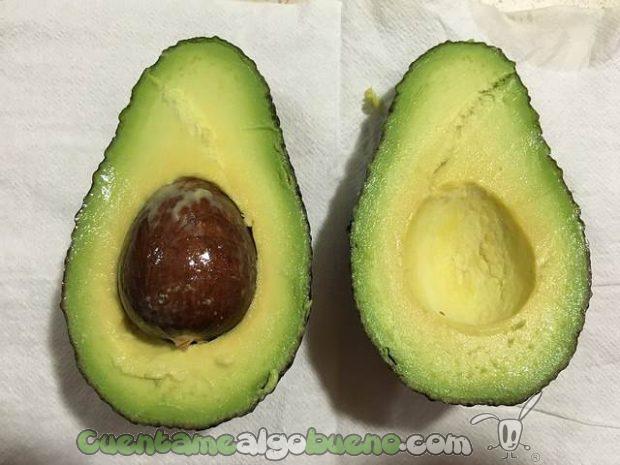 20161213-1-hueso-aguacate-calefaccion-01