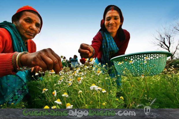 20161214-1-la-rueda-natural-granada-2