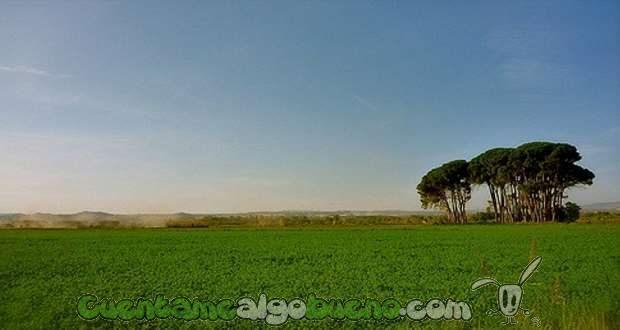 20161215-2-1-claraboya