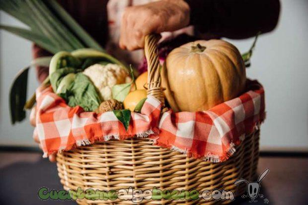 20161220-1-regalo-al-planeta-greenpeace-02