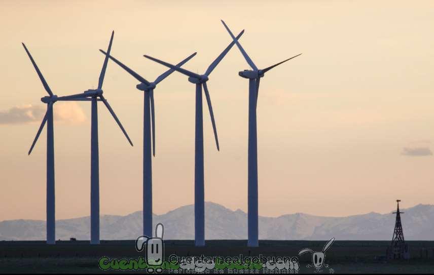 Conoce cómo de verdes son las empresas tecnológicas