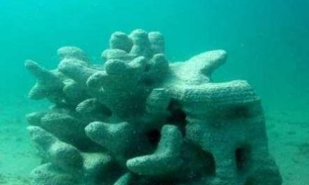 La impresión 3D en la conservación de arrecifes