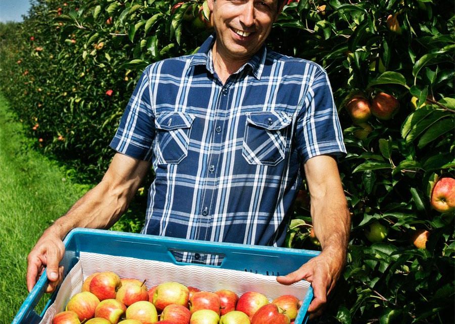 Erasmus ecológico para Granjeros