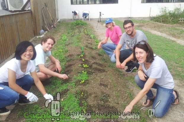 Charla sobre Huertos Educativos en Triodos Bank Málaga