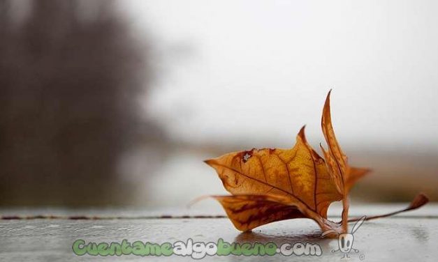 Claraboya. ENTRE DUDAS Y MISERIAS…