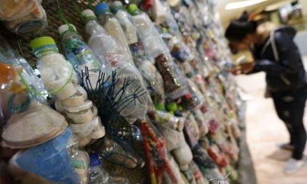 Desechos plásticos convertidos en arte