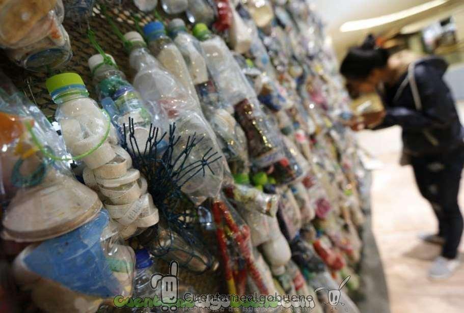 Desechos plásticos convertidos en arte