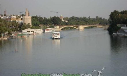 El Puerto de Sevilla finalmente no dragará el Guadalquivir