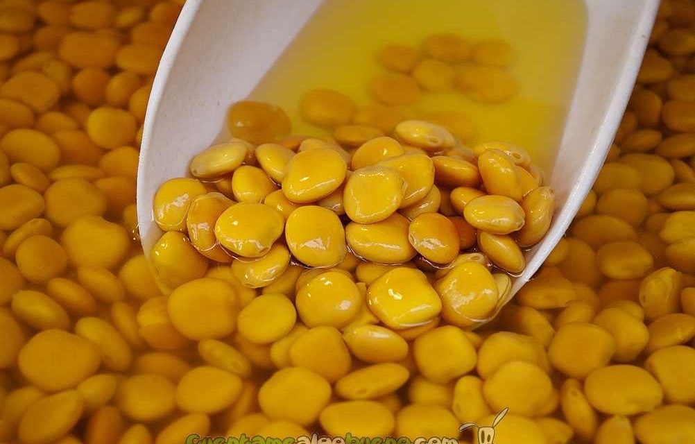 Altramuces para prevenir y tratar la diabetes