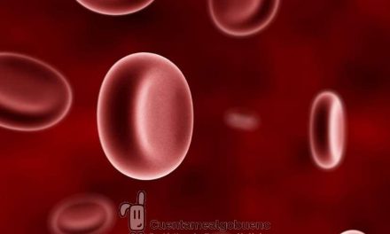 Sanar desde Nuestras Células