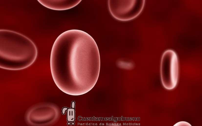 Sanar desde Nuestras Células