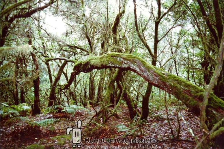 Nuevo plan de acción europeo para defender la biodiversidad