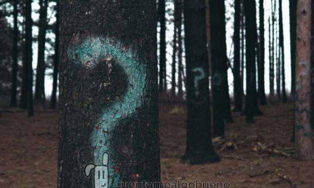 Claraboya. INTERROGANTES CRUCIALES