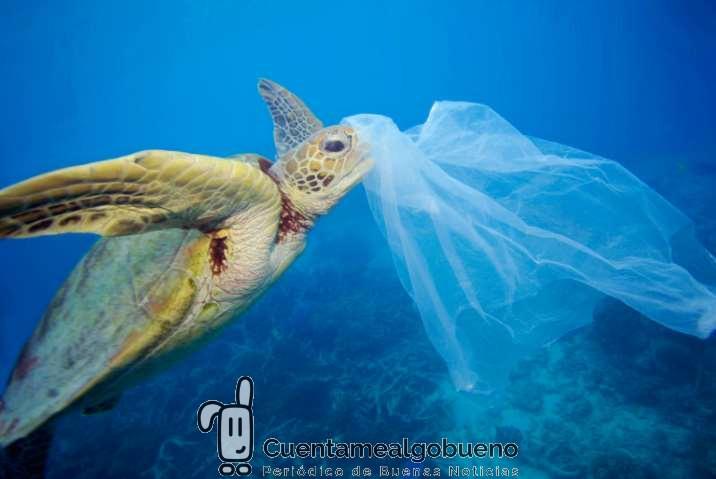 Menos plásticos, más Mediterráneo