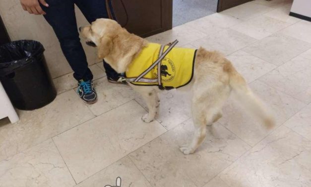 Entregan un perro de servicio a una persona con Esclerosis Múltiple